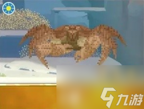 《潜水员戴夫》章鲨版本新增生物一览 新增夜潜鱼类整理