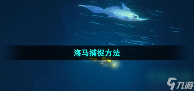 潜水员戴夫怎么抓海马_海马捕捉方法