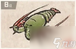 《潜水员戴夫》章鲨版本新增生物一览 新增夜潜鱼类整理