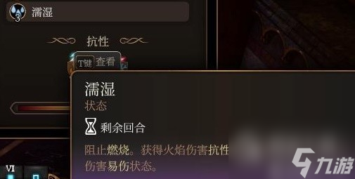博德之门3元素反应机制介绍