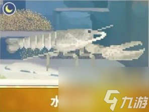 《潜水员戴夫》章鲨版本新增生物一览 新增夜潜鱼类整理