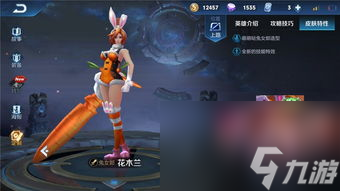 花木兰单机攻略：从新手到高手的进击之路