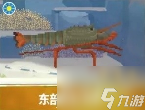 潜水员戴夫新增夜潜鱼类整理