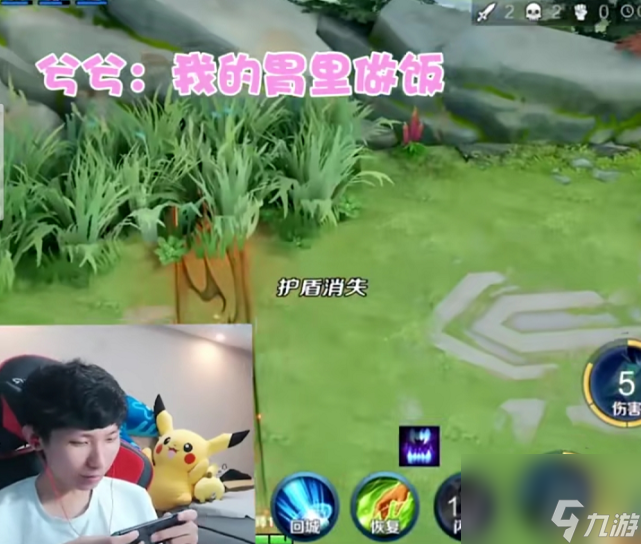 王者荣耀新龙骑士值得拥有吗（龙骑士的技能特效很浮夸吗）「已分享」