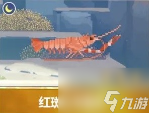 潜水员戴夫章鲨版本新增生物一览