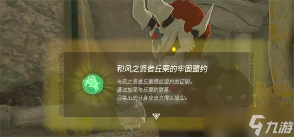 《塞尔达传说：王国之泪》贤者的遗志使用方法