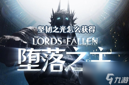 堕落之主坚韧之光怎么获得