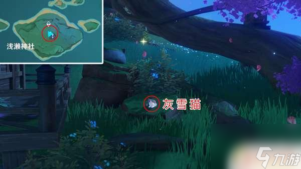 原神猫猫如何获得 原神猫在哪里抓捕