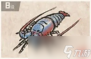 《潜水员戴夫》章鲨版本新增生物一览