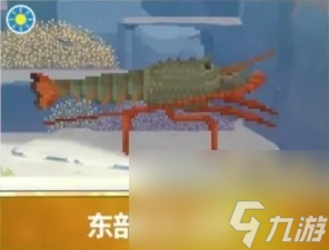 潜水员戴夫章鲨版本新增生物说明
