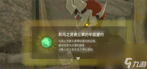 《塞尔达传说：王国之泪》贤者的遗志使用方法