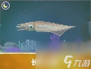 潜水员戴夫新增夜潜鱼类整理