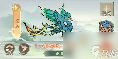 寻道大千：神兽朱雀最强流派选择后附礼包码