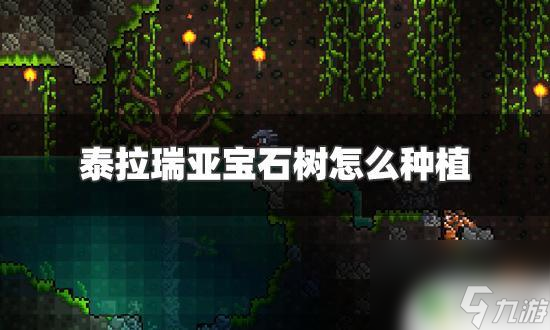 泰拉瑞亚地下大树 泰拉瑞亚宝石树种植方法