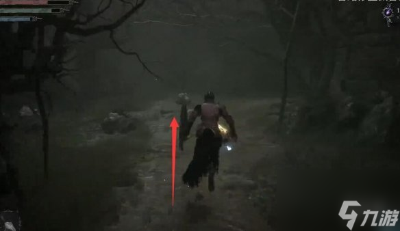 《堕落之主》血毒戒指获取方法介绍