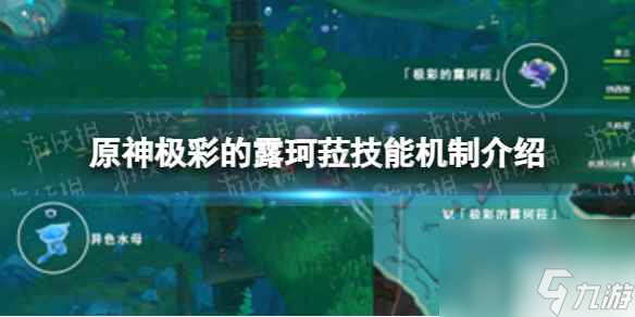 原神极彩的露珂菈技能机制介绍