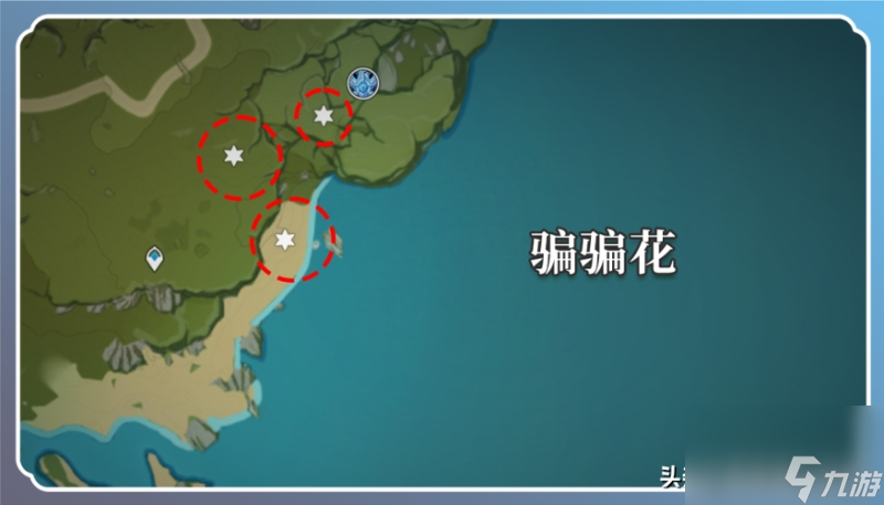 霓裳花在哪里采集