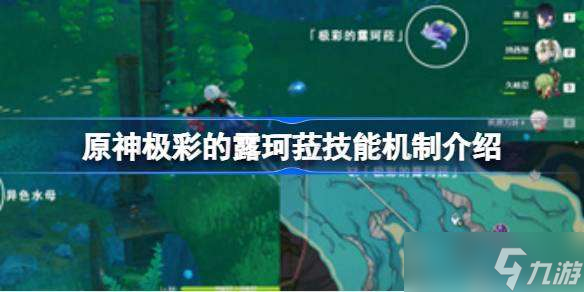 原神极彩的露珂菈技能机制是什么 原神极彩的露珂菈技能机制介绍