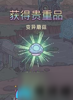 最強蝸牛變異蘑菇位置在哪里-變異蘑菇位置一覽