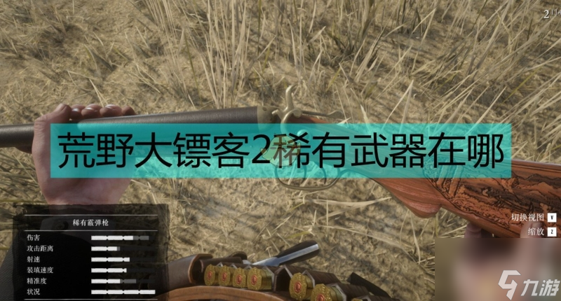 荒野大镖客2稀有武器位置
