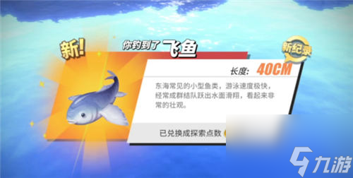 航海王热血航线钓鱼图鉴攻略大全