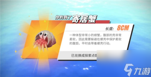 航海王热血航线钓鱼图鉴攻略大全