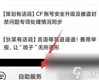 《穿越火线》账号冻结十年原因