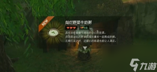 塞尔达传说王国之泪老奶奶治病药方指南