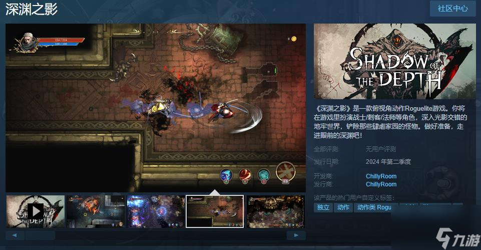 俯視角動作Roguelite游戲《深淵之影》Steam頁面上線 支持簡體中文