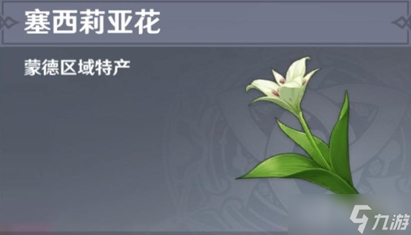 《原神》4.1版本塞西莉亚花采集路线分享