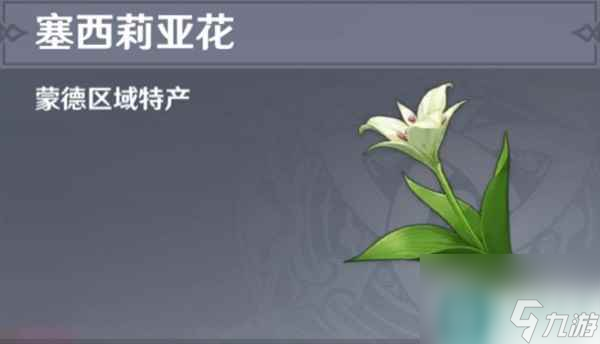 原神4.1版本塞西莉亚花采集路线介绍