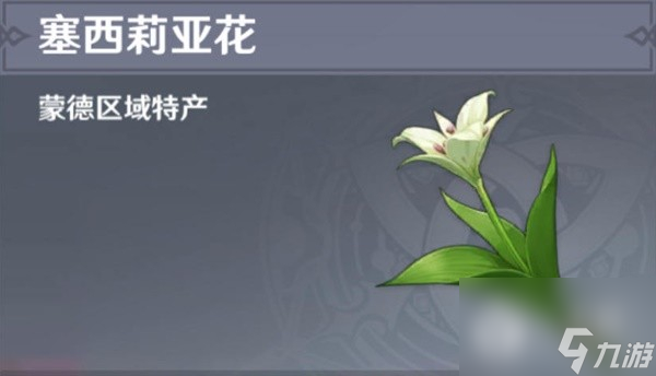 原神4.1版本塞西莉亚花采集路线介绍