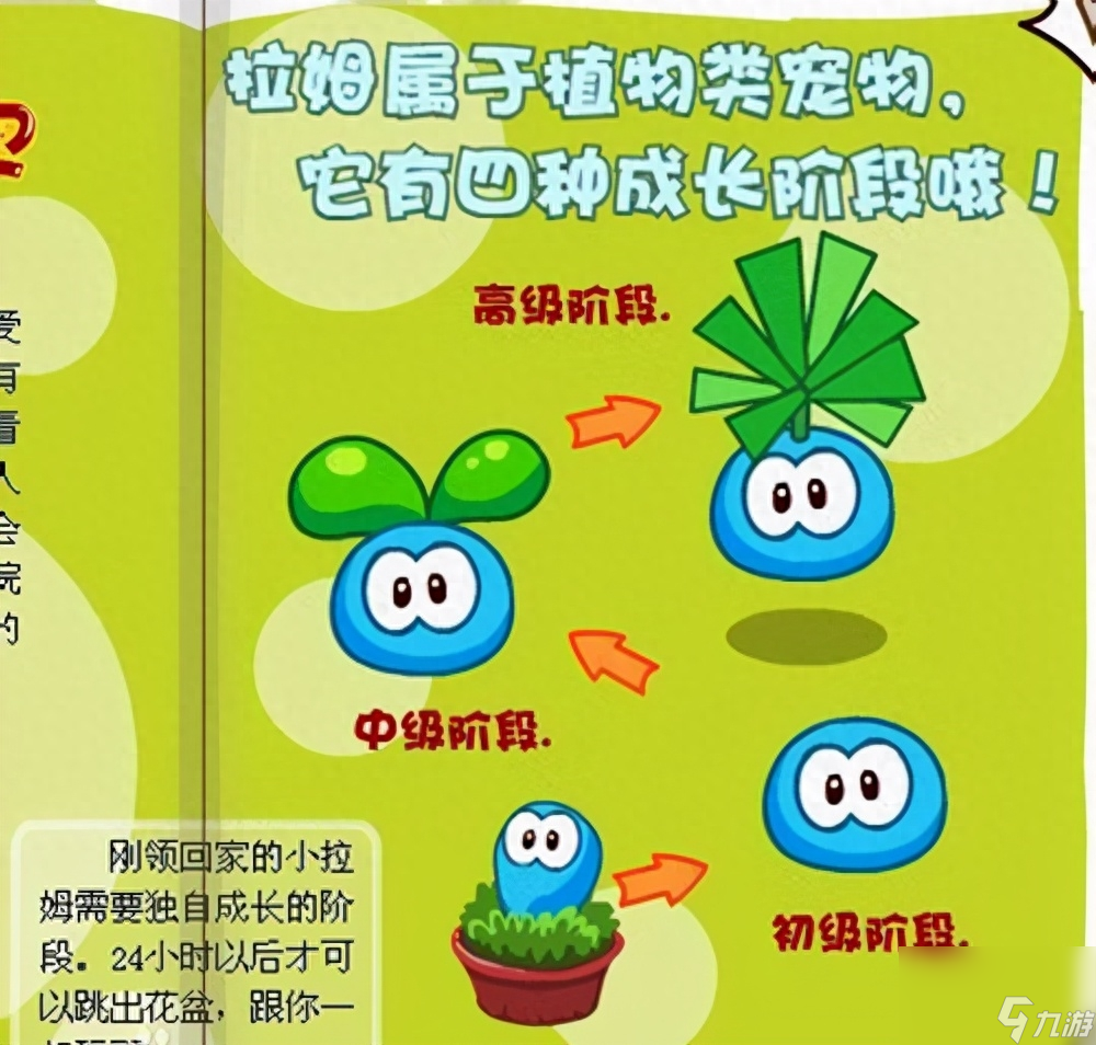 摩尔庄园飞龙坐骑怎么获得（激战2怎么获得飞行坐骑）