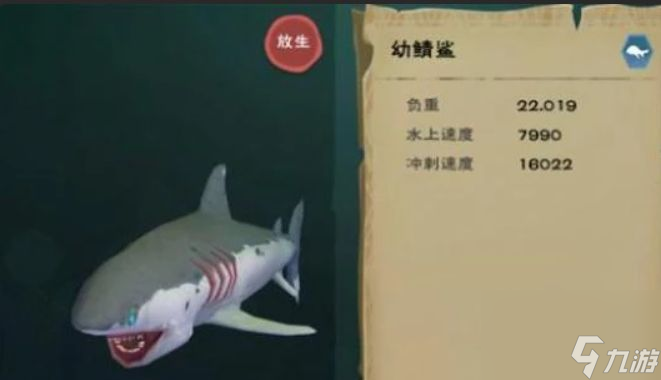 创造与魔法坐骑排行榜 超强坐骑玩法攻略