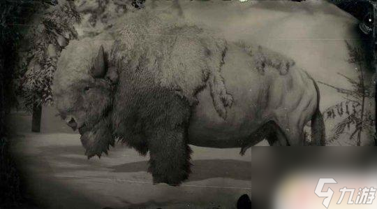 荒野大镖客2传说中的白野牛 荒野大镖客2 传说野牛狩猎方法
