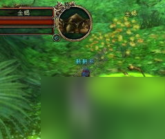 大唐无双网游百花攻略,大唐无双 网游世界中的百花攻略