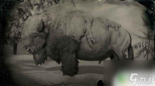 荒野大镖客2雪山牦牛找不到 荒野大镖客2 野牛狩猎方法