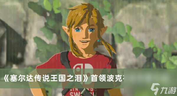 塞尔达传说<a id='link_pop' class='keyword-tag' href='https://www.9game.cn/sedcswgzl/'>王国之泪</a>首领波克布林位置介绍