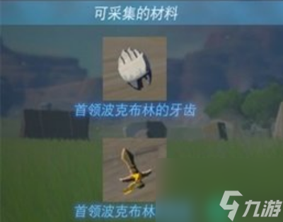 塞尔达传说王国之泪首领波克布林位置介绍