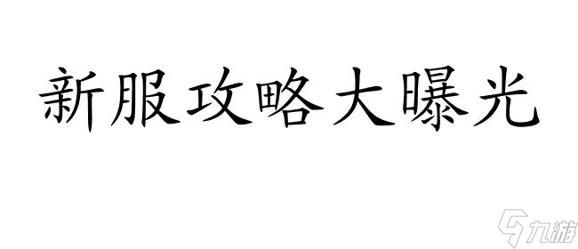 大话2新服怎么升级攻略 - 最全面的技巧与策略推荐