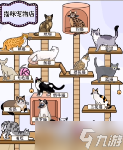 爆梗找茬王猫爬架通关攻略