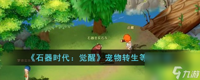 石器时代觉醒宠物转生等级是多少-宠物转生等级介绍