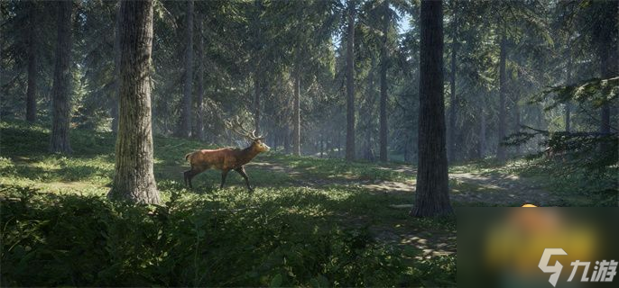猎人荒野的召唤拍鹿任务完成攻略 猎人荒野的召唤拍鹿任务怎么做
