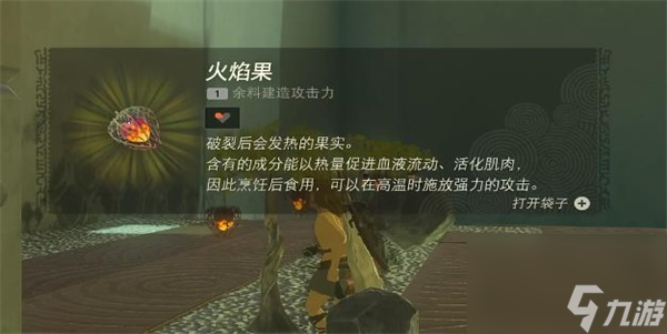 塞尔达传说王国之泪伊恩伊萨神庙攻略