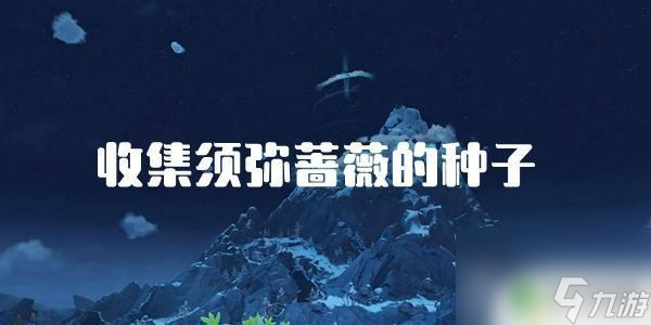 收集须弥蔷薇的种子原神 原神须弥蔷薇种子任务攻略