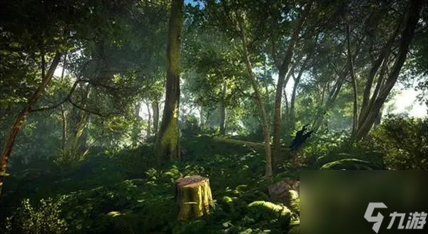 森林游戏动物们的地点介绍