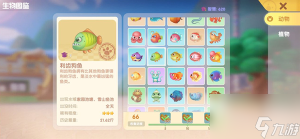 摩尔庄园手游利齿狗鱼在哪钓