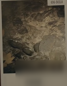 心灵杀手2第一章邀请线索介绍