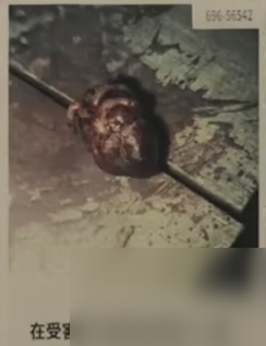 心灵杀手2第一章邀请线索介绍