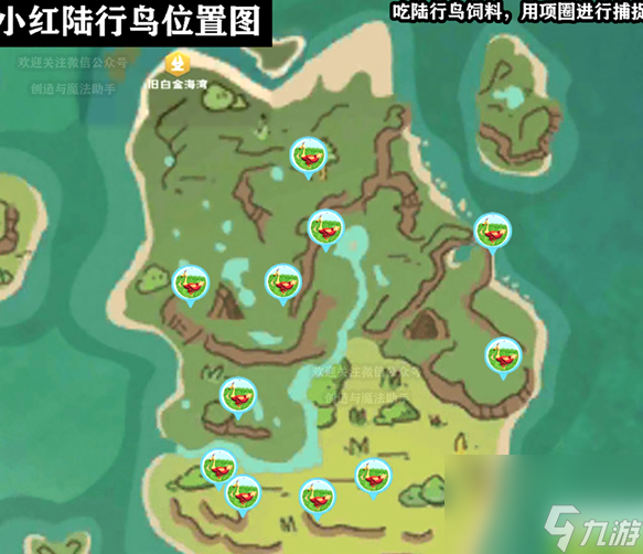 《创造与魔法》小红陆行鸟位置一览